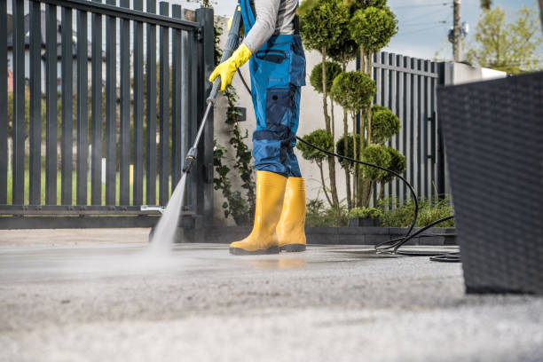 Best Best Pressure Washing Companies  in Fergus Falls, MN