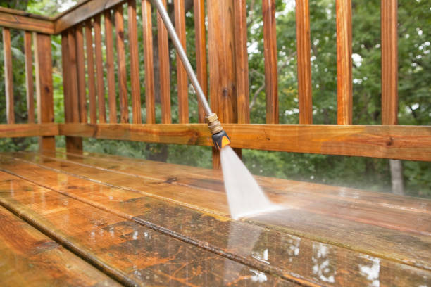 Best Residential Pressure Washing Services  in Fergus Falls, MN