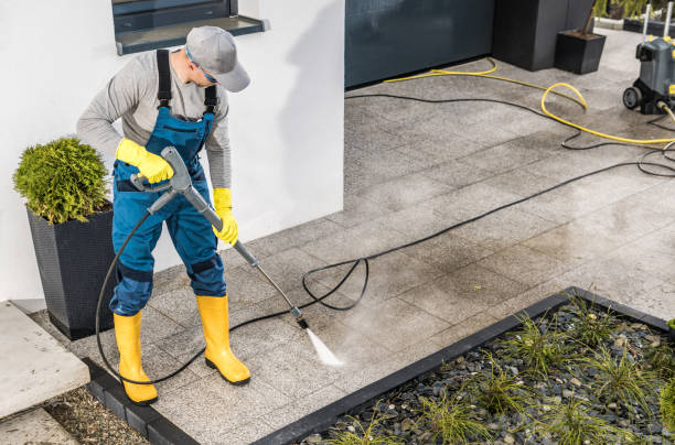 Best Deck Cleaning Services  in Fergus Falls, MN