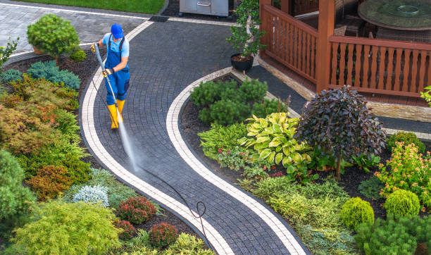 Best Pressure Washing Patio  in Fergus Falls, MN